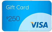 visa gift card
